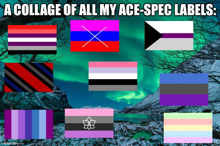 And this is just the asexual spectrum! | A COLLAGE OF ALL MY ACE-SPEC LABELS: | image tagged in northern lights announcement | made w/ Imgflip meme maker