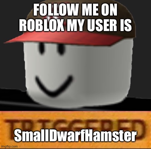 Roblox Triggered | FOLLOW ME ON ROBLOX MY USER IS; SmallDwarfHamster | image tagged in roblox triggered | made w/ Imgflip meme maker