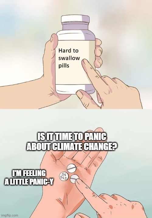 Hard To Swallow Pills Meme | IS IT TIME TO PANIC ABOUT CLIMATE CHANGE? I'M FEELING A LITTLE PANIC-Y | image tagged in memes,hard to swallow pills | made w/ Imgflip meme maker
