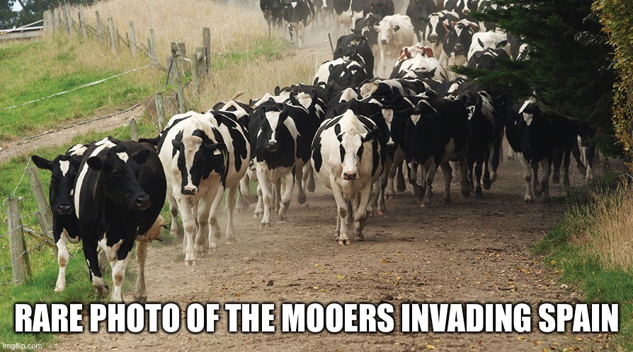 The Mooers invading Spain | RARE PHOTO OF THE MOOERS INVADING SPAIN | image tagged in mooer invading spain | made w/ Imgflip meme maker