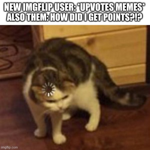 Loading cat | NEW IMGFLIP USER: *UPVOTES MEMES*; ALSO THEM: HOW DID I GET POINTS?!? | image tagged in loading cat | made w/ Imgflip meme maker