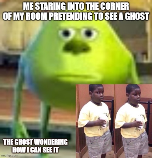 Sully Wazowski |  ME STARING INTO THE CORNER OF MY ROOM PRETENDING TO SEE A GHOST; THE GHOST WONDERING HOW I CAN SEE IT | image tagged in sully wazowski | made w/ Imgflip meme maker