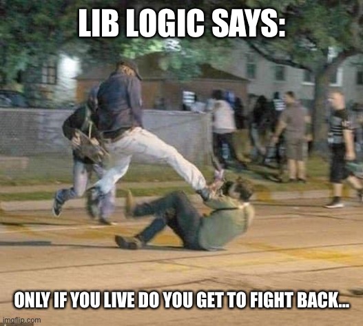 LIB LOGIC SAYS:; ONLY IF YOU LIVE DO YOU GET TO FIGHT BACK… | made w/ Imgflip meme maker