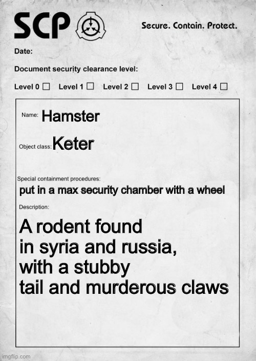 SCP document | Hamster; Keter; put in a max security chamber with a wheel; A rodent found in syria and russia, with a stubby tail and murderous claws | image tagged in scp document | made w/ Imgflip meme maker