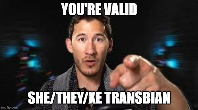 Markiplier pointing | YOU'RE VALID; SHE/THEY/XE TRANSBIAN | image tagged in markiplier pointing | made w/ Imgflip meme maker