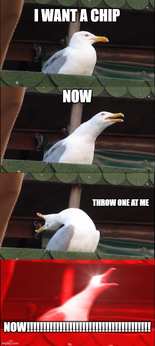 Inhaling Seagull | I WANT A CHIP; NOW; THROW ONE AT ME; NOW!!!!!!!!!!!!!!!!!!!!!!!!!!!!!!!!!!!!!! | image tagged in memes,inhaling seagull | made w/ Imgflip meme maker
