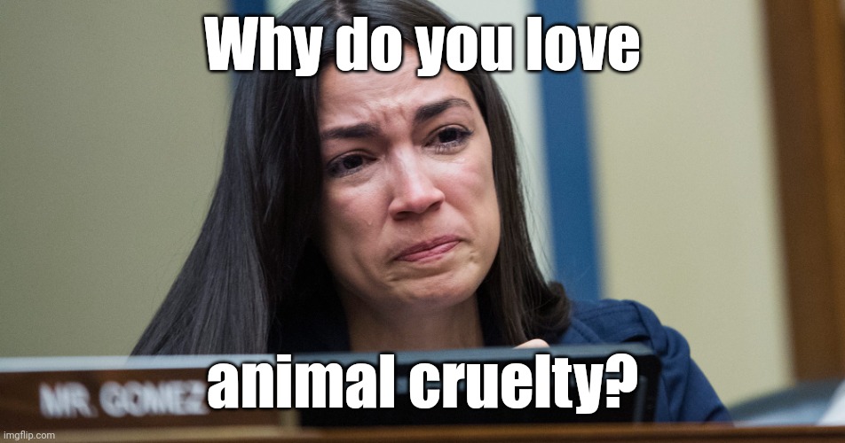 aoc Crocodile Tears | Why do you love animal cruelty? | image tagged in aoc crocodile tears | made w/ Imgflip meme maker