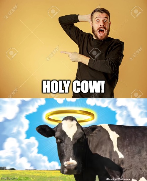 HOLY COW! | made w/ Imgflip meme maker