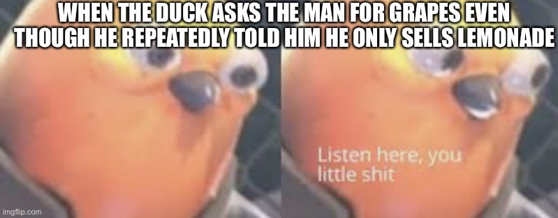 Listen here you little shit bird | WHEN THE DUCK ASKS THE MAN FOR GRAPES EVEN THOUGH HE REPEATEDLY TOLD HIM HE ONLY SELLS LEMONADE | image tagged in listen here you little shit bird | made w/ Imgflip meme maker