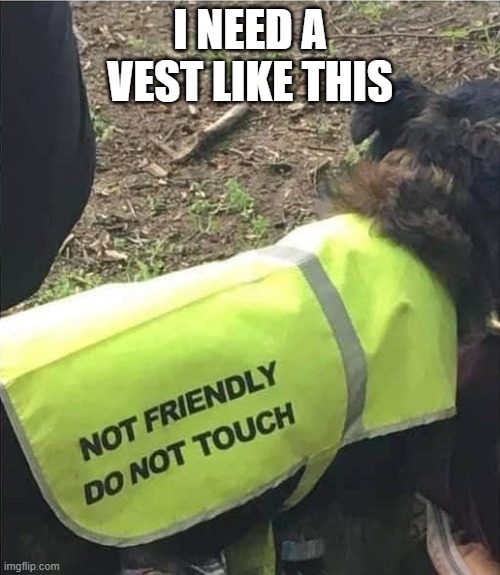 Not Friendly | I NEED A VEST LIKE THIS | image tagged in not friendly,party loner | made w/ Imgflip meme maker