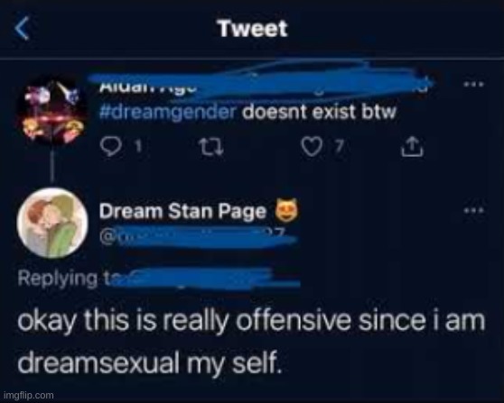 Dreamsexual | image tagged in dreamsexual | made w/ Imgflip meme maker