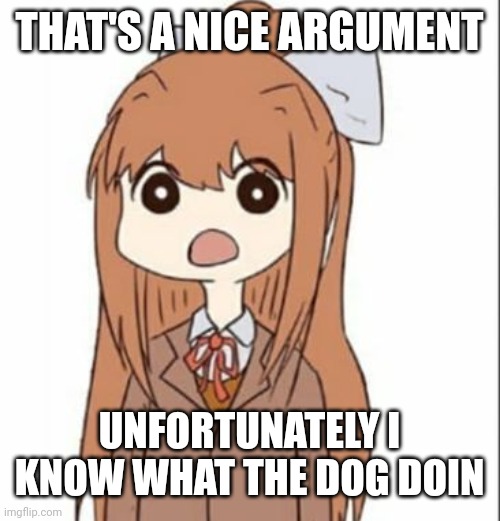 D: | THAT'S A NICE ARGUMENT; UNFORTUNATELY I KNOW WHAT THE DOG DOIN | image tagged in d | made w/ Imgflip meme maker