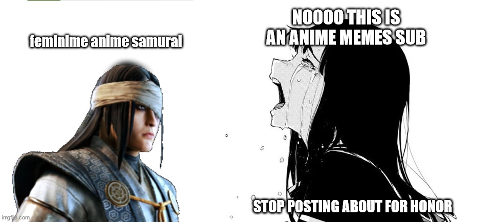 funny samurai man on wrong subreddit |  NOOOO THIS IS AN ANIME MEMES SUB; feminime anime samurai; STOP POSTING ABOUT FOR HONOR | image tagged in crying aya asagiri,anime,for honor | made w/ Imgflip meme maker