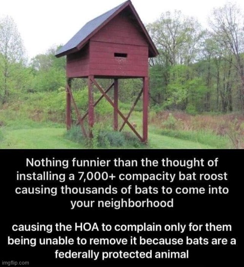 bat roost | made w/ Imgflip meme maker