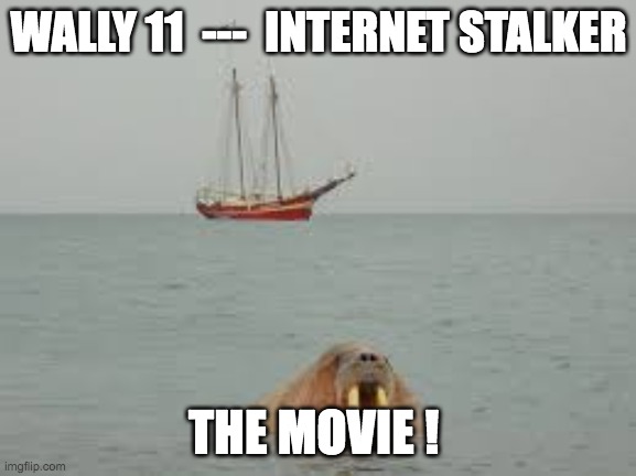 Internet Atalker the Movie | WALLY 11  ---  INTERNET STALKER; THE MOVIE ! | image tagged in wall | made w/ Imgflip meme maker