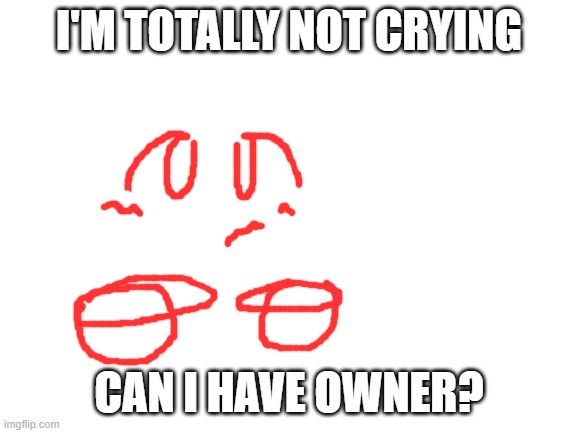art by me on a computer | I'M TOTALLY NOT CRYING; CAN I HAVE OWNER? | image tagged in blank white template | made w/ Imgflip meme maker