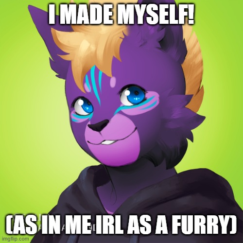 I MADE MYSELF! (AS IN ME IRL AS A FURRY) | made w/ Imgflip meme maker