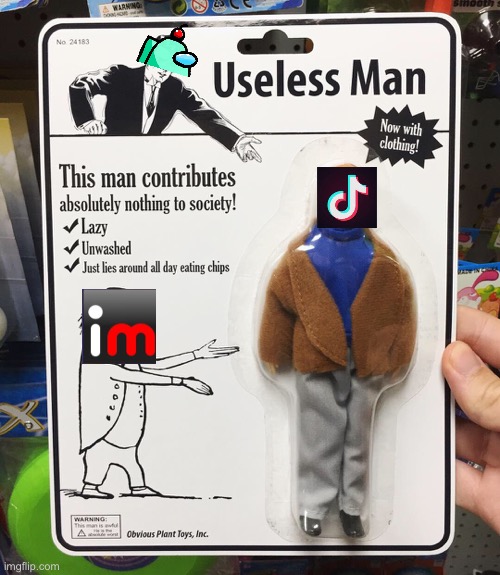 USELESS!!! | image tagged in useless man | made w/ Imgflip meme maker