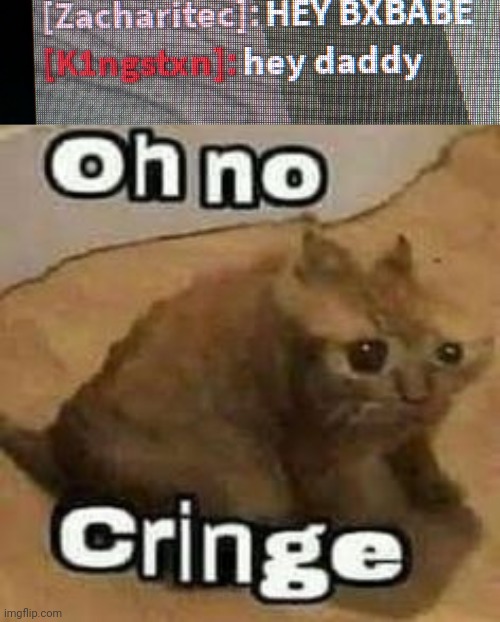 The shit I see on roblox lmao  ._. | image tagged in oh no cringe | made w/ Imgflip meme maker