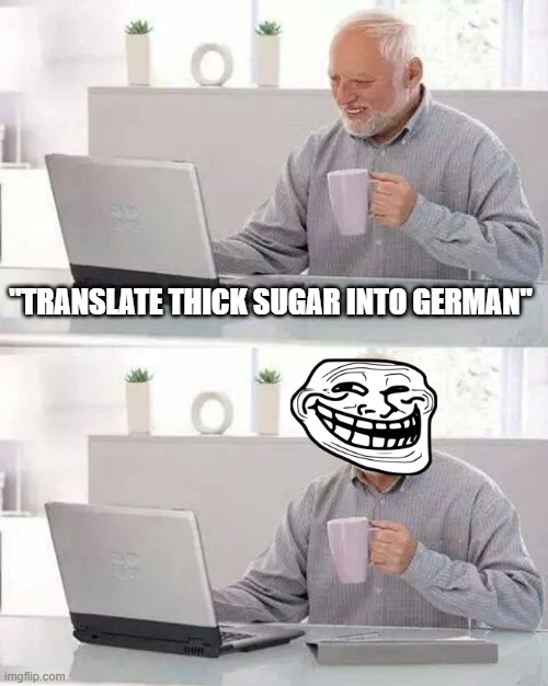 Modern trolling | "TRANSLATE THICK SUGAR INTO GERMAN" | image tagged in memes,hide the pain harold | made w/ Imgflip meme maker