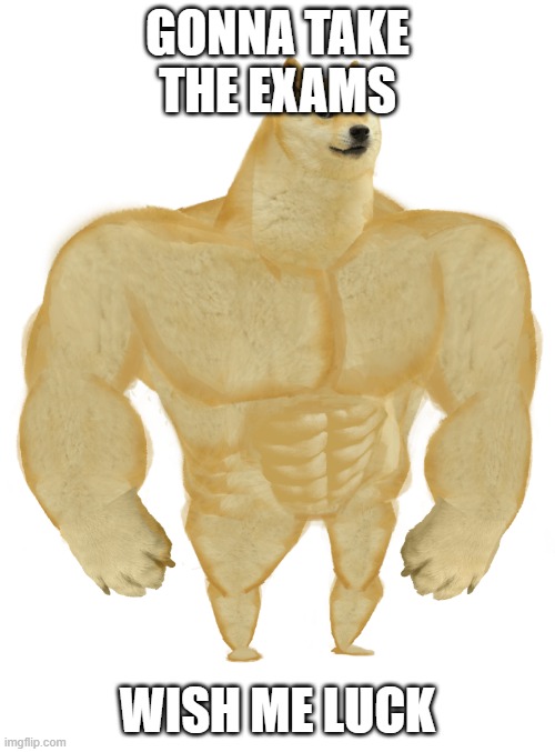 buff doge | GONNA TAKE THE EXAMS; WISH ME LUCK | image tagged in swole doge | made w/ Imgflip meme maker