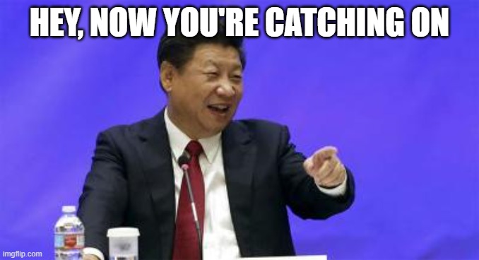 Xi Jinping Laughing | HEY, NOW YOU'RE CATCHING ON | image tagged in xi jinping laughing | made w/ Imgflip meme maker