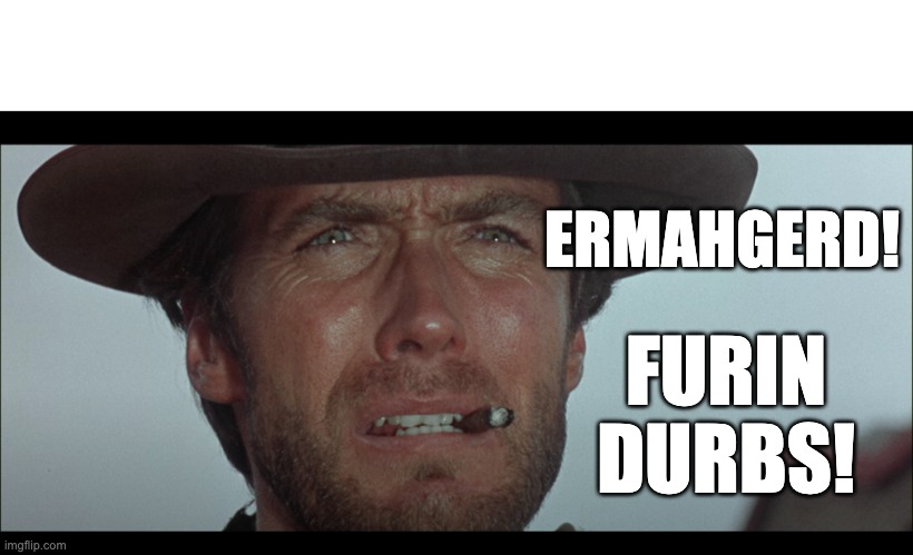 Furin durbs | ERMAHGERD! FURIN DURBS! | image tagged in foreign | made w/ Imgflip meme maker