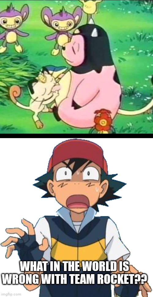 MEOWTH LIKES MILTANK MILK |  WHAT IN THE WORLD IS WRONG WITH TEAM ROCKET?? | image tagged in pokemon,wtf,meowth,pokemon memes | made w/ Imgflip meme maker
