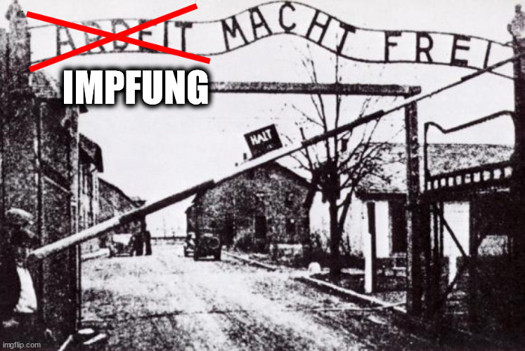 Impfung macht frei | IMPFUNG | image tagged in impfung,vaccine,covid,impfung macht frei | made w/ Imgflip meme maker