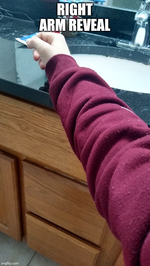 RIGHT ARM REVEAL | made w/ Imgflip meme maker