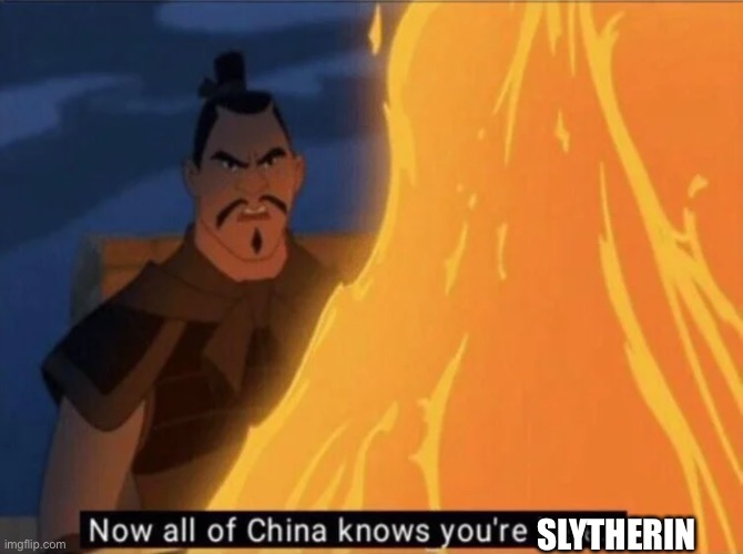 Now all of China knows you're here | SLYTHERIN | image tagged in now all of china knows you're here | made w/ Imgflip meme maker