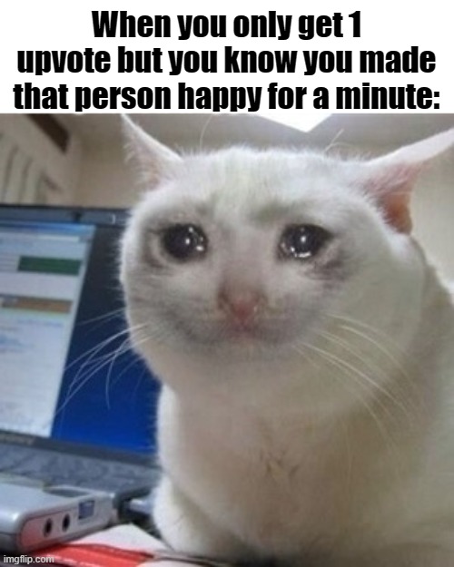 True? |  When you only get 1 upvote but you know you made that person happy for a minute: | image tagged in crying cat | made w/ Imgflip meme maker