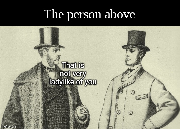 That is not very ladylike of you | The person above | image tagged in that is not very ladylike of you | made w/ Imgflip meme maker