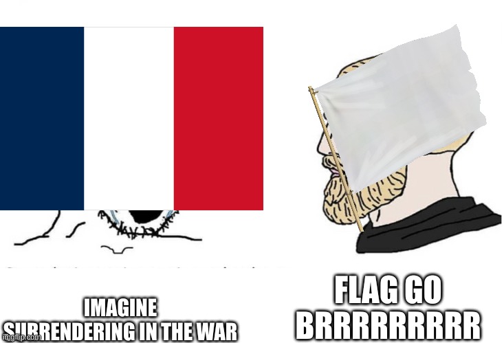 Flag go brrrrrrrrrrrr | FLAG GO BRRRRRRRRR; IMAGINE SURRENDERING IN THE WAR | image tagged in historical meme | made w/ Imgflip meme maker