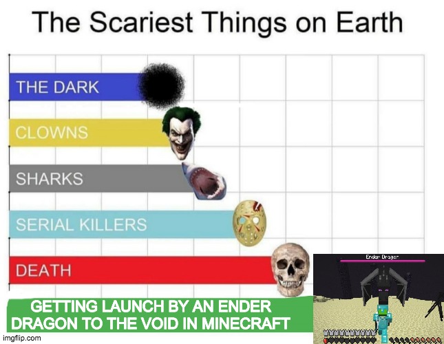Possibly scary for you | GETTING LAUNCH BY AN ENDER DRAGON TO THE VOID IN MINECRAFT | image tagged in scariest things on earth | made w/ Imgflip meme maker