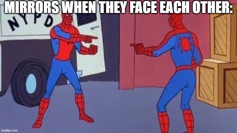 You are me and I am you | MIRRORS WHEN THEY FACE EACH OTHER: | image tagged in spiderman pointing at spiderman | made w/ Imgflip meme maker