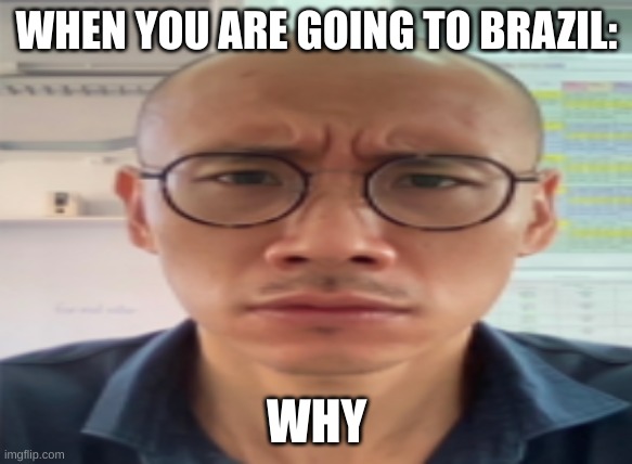 Going to Brazil >:( | WHEN YOU ARE GOING TO BRAZIL:; WHY | image tagged in noooooooooooooooooooooooo,brazil | made w/ Imgflip meme maker