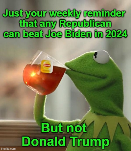 Do you really think that's going to work? | Just your weekly reminder 
that any Republican can beat Joe Biden in 2024; But not 
Donald Trump | image tagged in memes,but that's none of my business,kermit the frog,trump 2024,joe biden | made w/ Imgflip meme maker