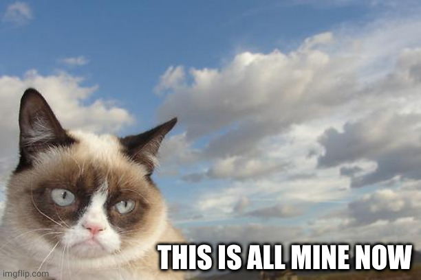 Grumpy Cat Sky Meme | THIS IS ALL MINE NOW | image tagged in memes,grumpy cat sky,grumpy cat | made w/ Imgflip meme maker