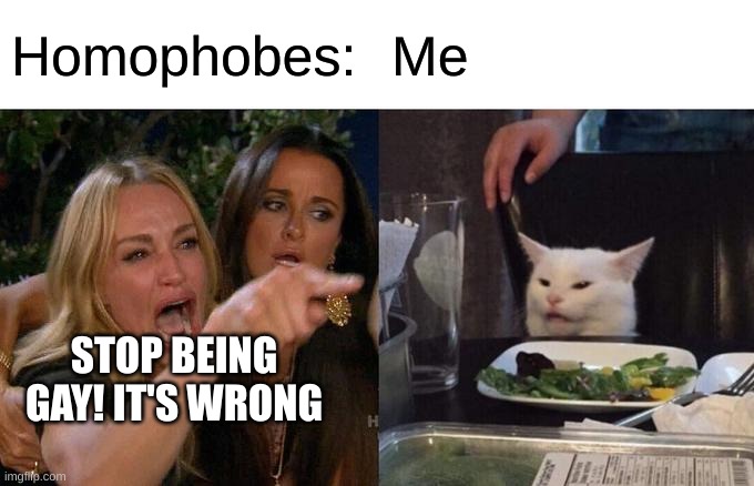 *eye roll intensifies* | Homophobes:; Me; STOP BEING GAY! IT'S WRONG | image tagged in memes,woman yelling at cat | made w/ Imgflip meme maker