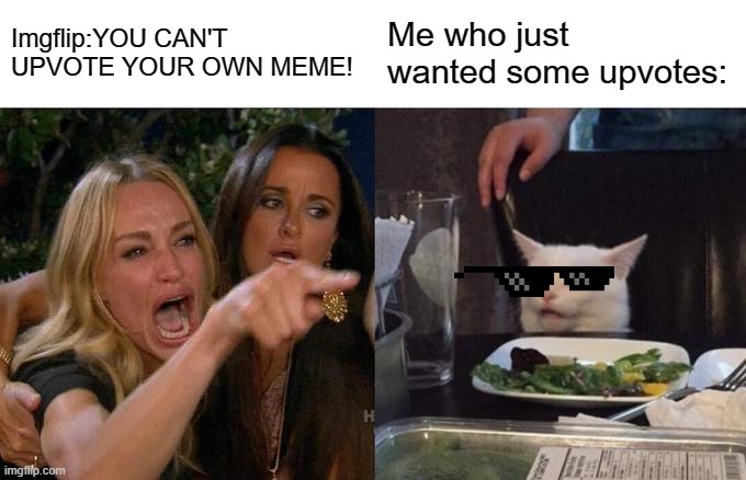Woman Yelling At Cat Meme | Imgflip:YOU CAN'T UPVOTE YOUR OWN MEME! Me who just wanted some upvotes: | image tagged in memes,woman yelling at cat | made w/ Imgflip meme maker