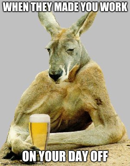 Cool Kangaroo | WHEN THEY MADE YOU WORK; ON YOUR DAY OFF | image tagged in cool kangaroo | made w/ Imgflip meme maker