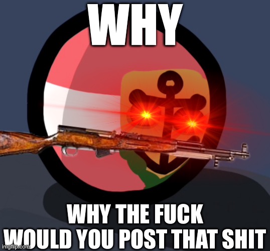 WHY WHY THE FUCK WOULD YOU POST THAT SHIT | image tagged in the nation is torn apart and we were the cause | made w/ Imgflip meme maker