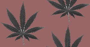 High Quality Weed Wallpaper Blank Meme Template
