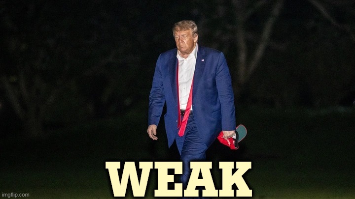 Trump Tulsa Big Fat Loser Defeat | WEAK | image tagged in trump tulsa big fat loser defeat,trump,weak | made w/ Imgflip meme maker