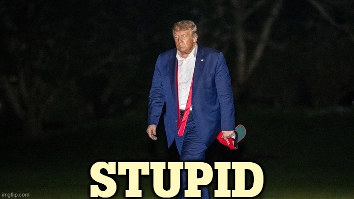 Trump Tulsa Big Fat Loser Defeat | STUPID | image tagged in trump tulsa big fat loser defeat,trump,stupid | made w/ Imgflip meme maker