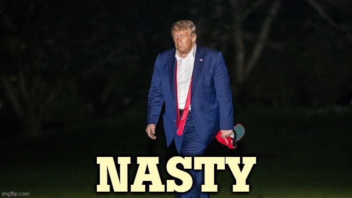 Trump Tulsa Big Fat Loser Defeat | NASTY | image tagged in trump tulsa big fat loser defeat,trump,nasty | made w/ Imgflip meme maker