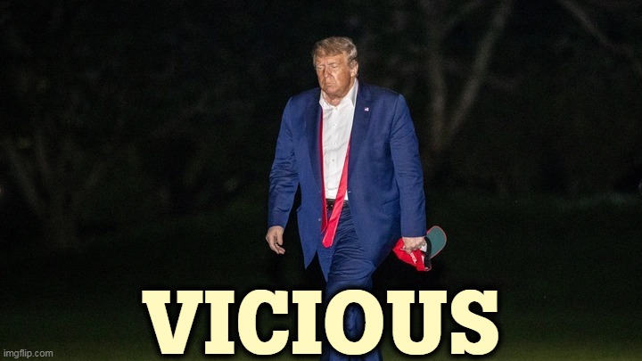 Trump Tulsa Big Fat Loser Defeat | VICIOUS | image tagged in trump tulsa big fat loser defeat,trump,mean | made w/ Imgflip meme maker
