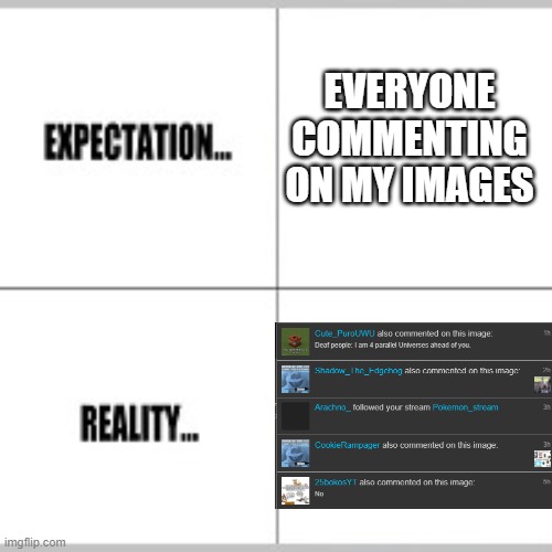 Expectation vs Reality |  EVERYONE COMMENTING ON MY IMAGES | image tagged in expectation vs reality | made w/ Imgflip meme maker