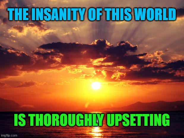 Sunset |  THE INSANITY OF THIS WORLD; IS THOROUGHLY UPSETTING | image tagged in sunset | made w/ Imgflip meme maker